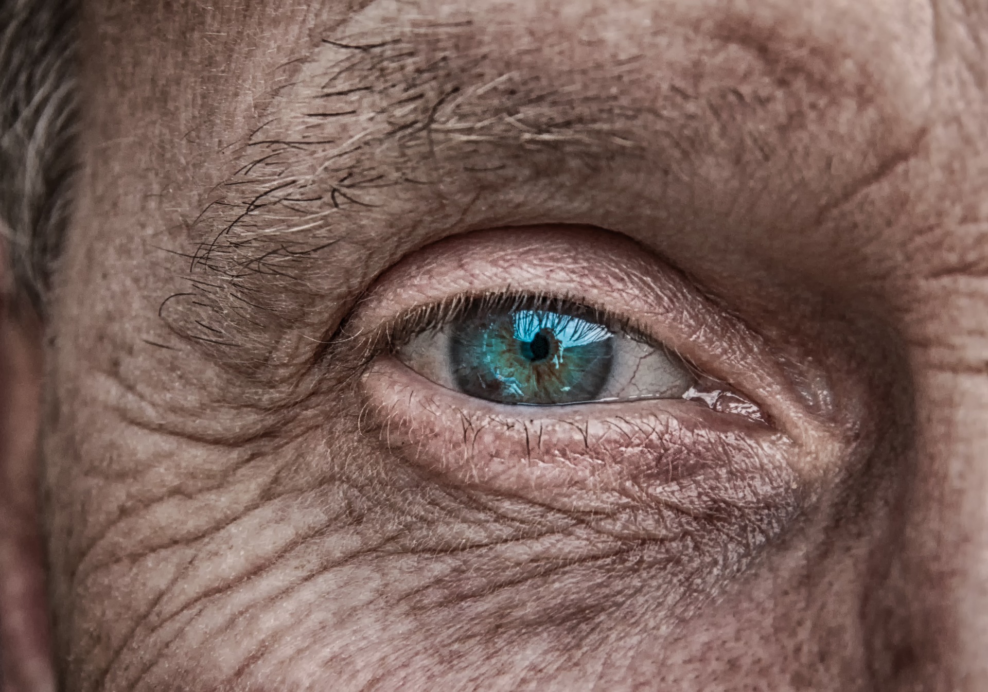 oeil perspective